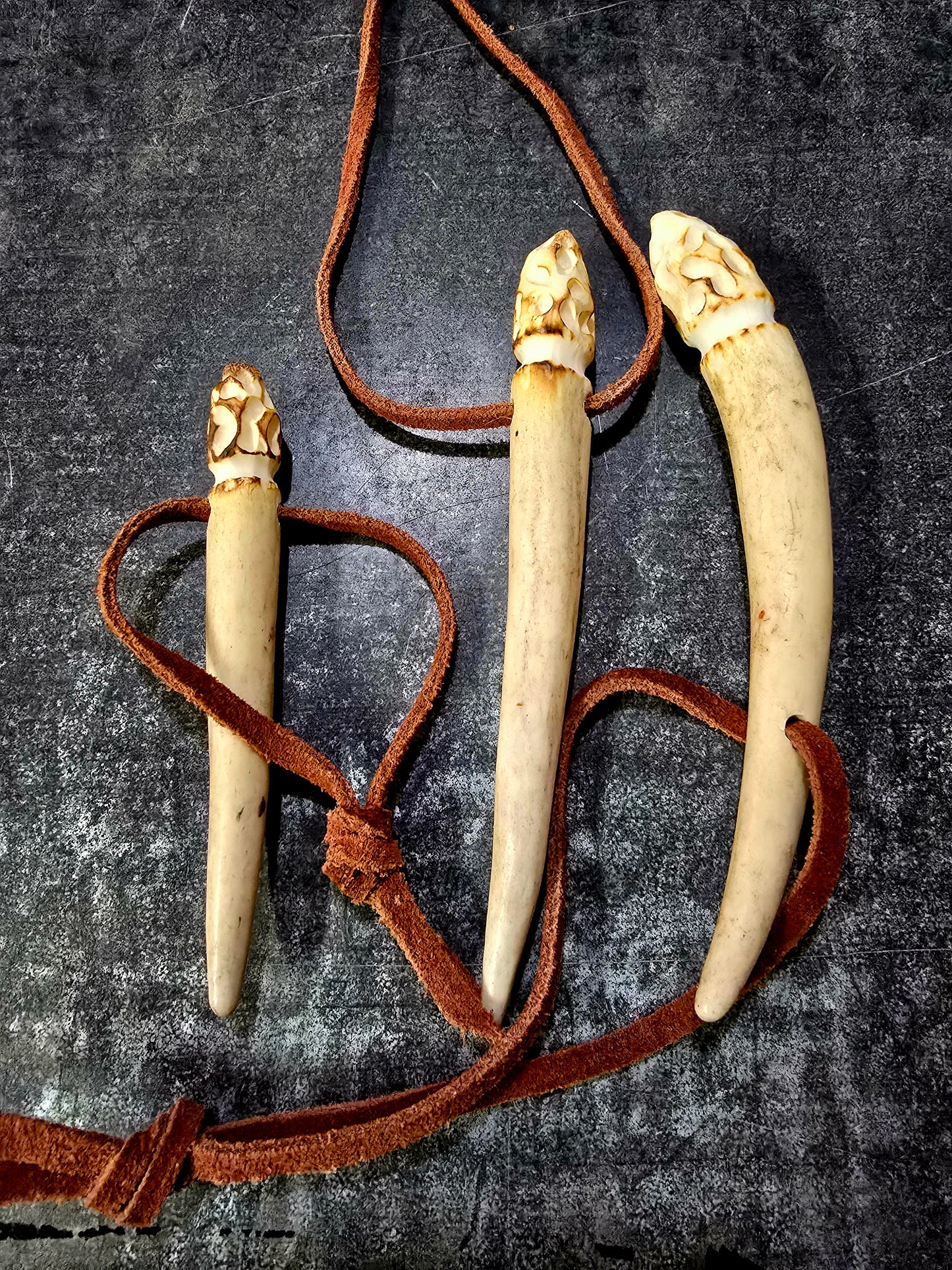 Whitetail antler morel mushroom carving